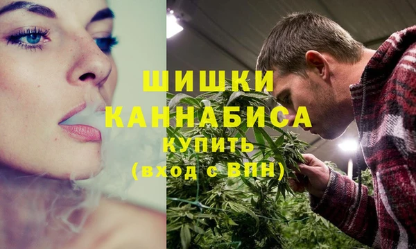 мдпв Корсаков