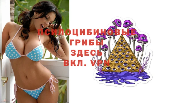 винт Коряжма