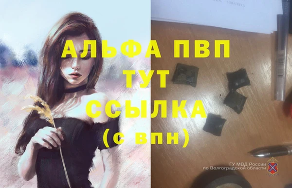 мдпв Корсаков